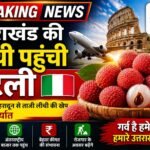 उत्तराखंड लीची इटली निर्यात-देहरादून की लीची की पहली खेप इटली-निर्यात होने पर प्रतीकात्मक तस्वीर